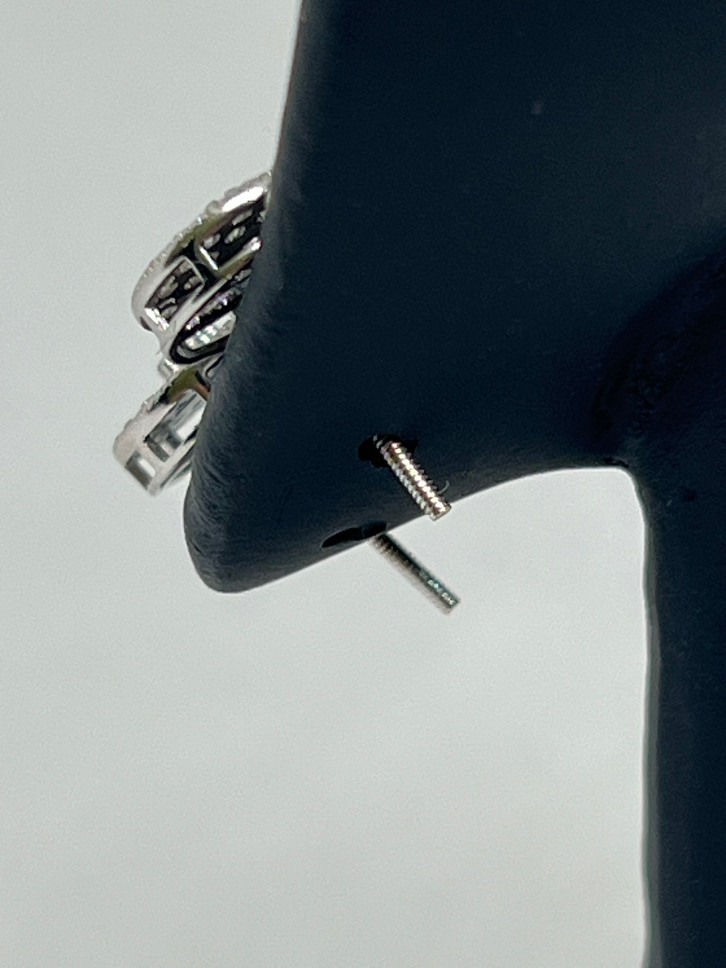 Sterling Silver Circle Glacier Moissanite Earrings