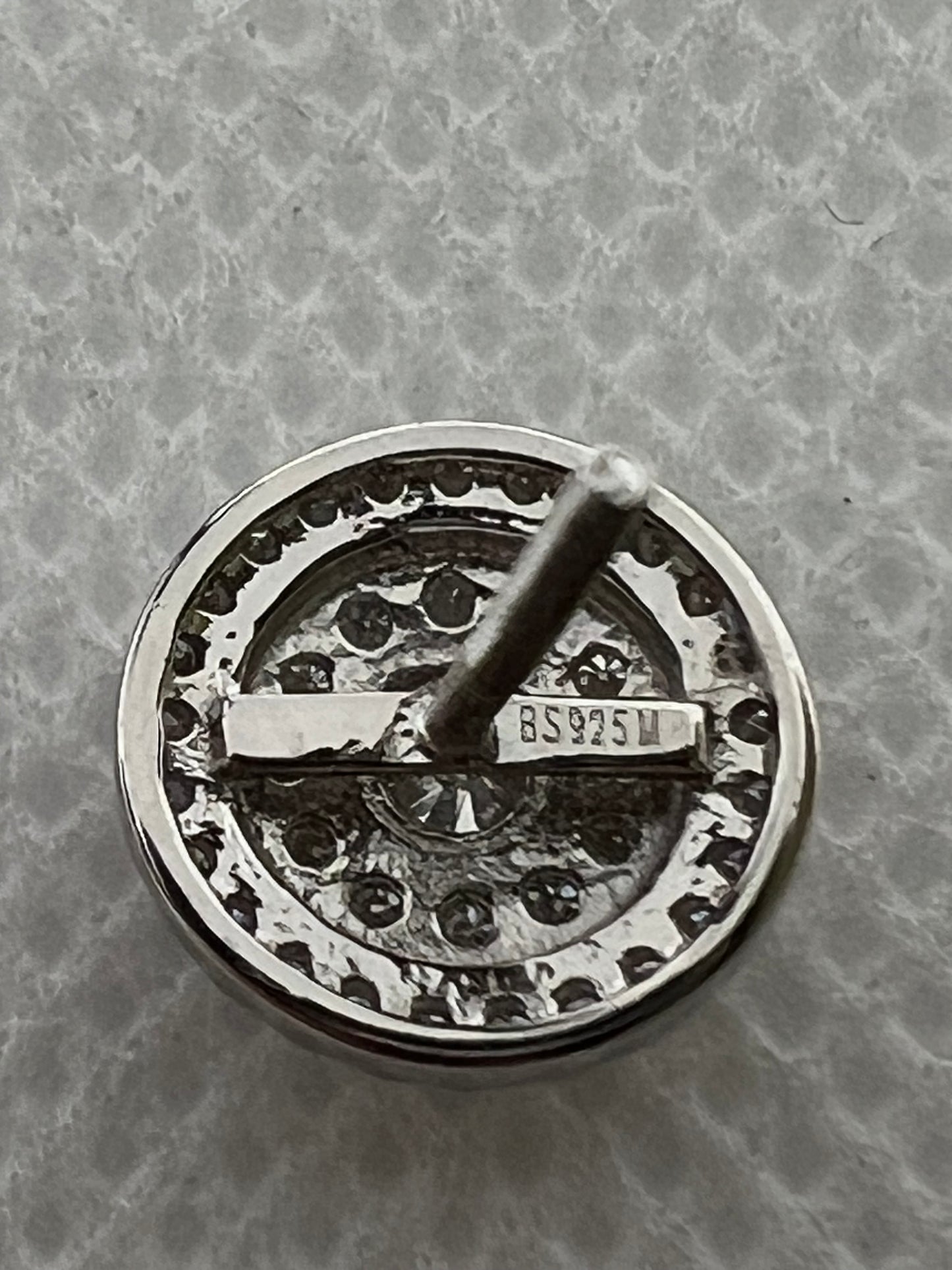 Sterling Silver Glacier Moissanite Circle Earrings