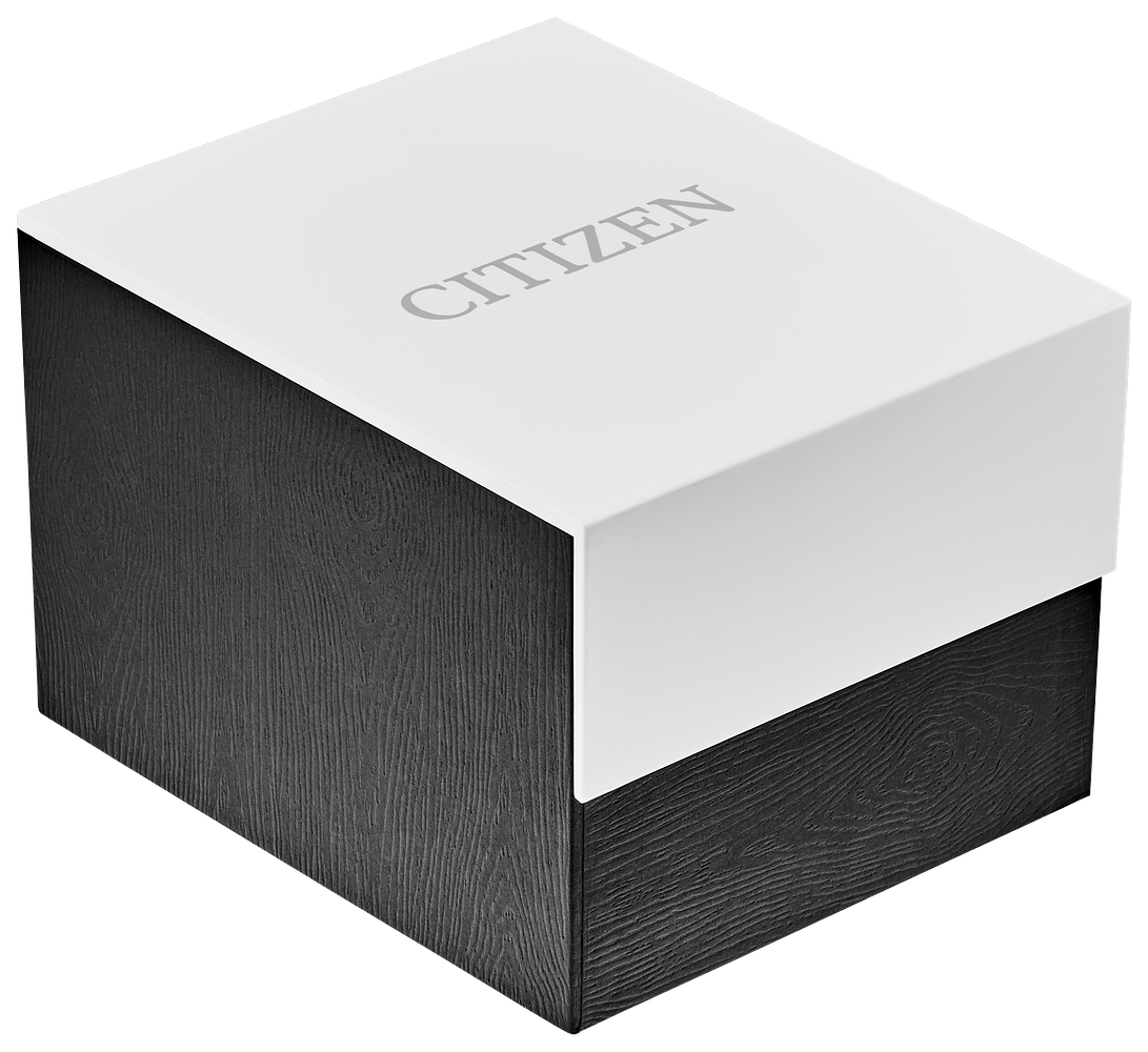 Citizen Silver Men's Quartz Black Dial Watch