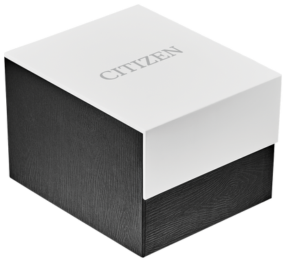 Citizen Eco Drive Gold Axiom Men's Watch