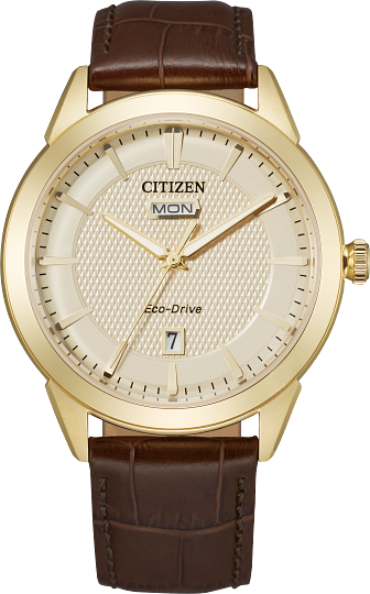 Citizen Eco Drive Rolan Leather Band Men's Watch